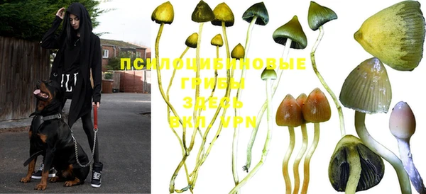 MDMA Premium VHQ Бежецк