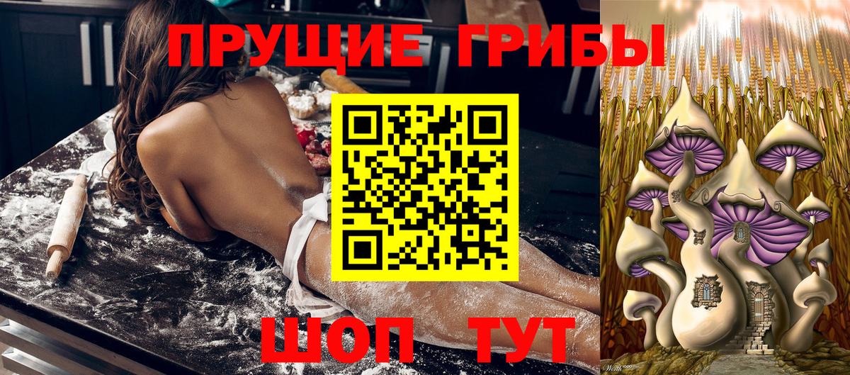 Псилоцибиновые грибы прущие грибы  где купить наркоту  Новокубанск  Вход с VPN 