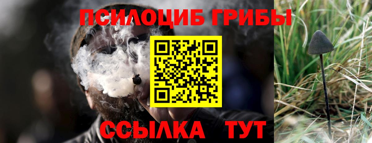Псилоцибиновые грибы ЛСД Новокубанск